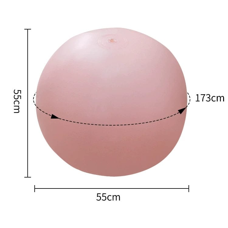 Bouncy Inflatable Sex Ball with Remote Control Vibrating Realistic Dildo - Lurevibe