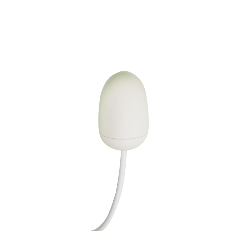 Sucking Vibrating Egg Pulse Female Vibrator Flirting Massager - Lurevibe