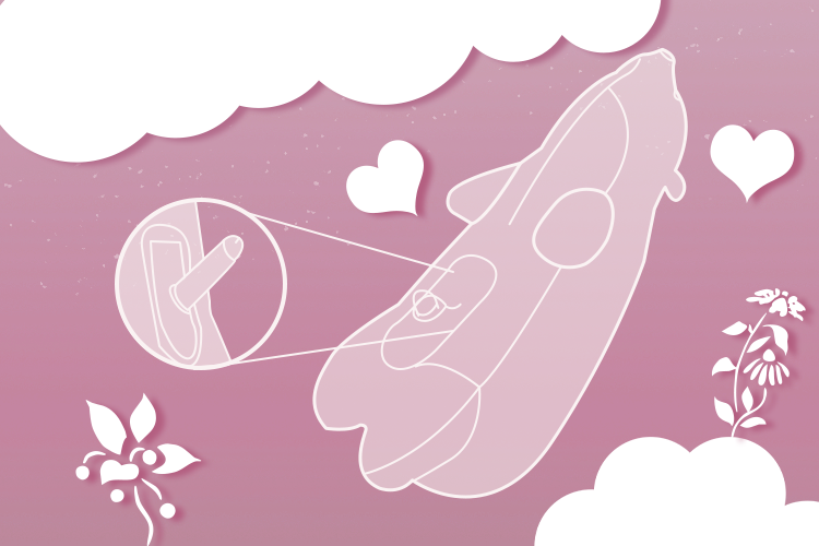 The Ultimate Guide to the Cautious Polar Bear Happy Pillow: Overcoming Shyness and Mastering Use and Maintenance