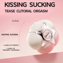 Mesanel PinkPo Slapping Heating Clitoral Suction Vibrator - Lurevibe