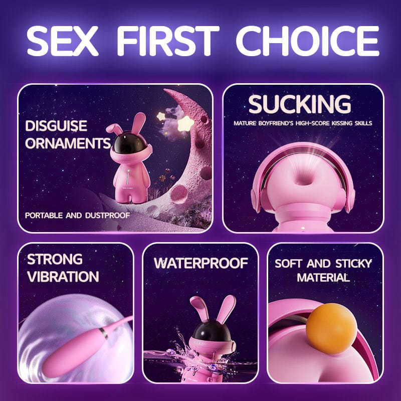 Fashion Ornaments Rabbit Clitoris Sucking Vibrator Set With Dust Cover - Lurevibe