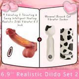 6.3‘’ Realistic Dildo Set 2