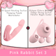 Pink Rabbit Set 3