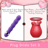 Plug Dildo Set 3