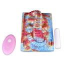 Octopus Touching sex grinder Riding Vibrator