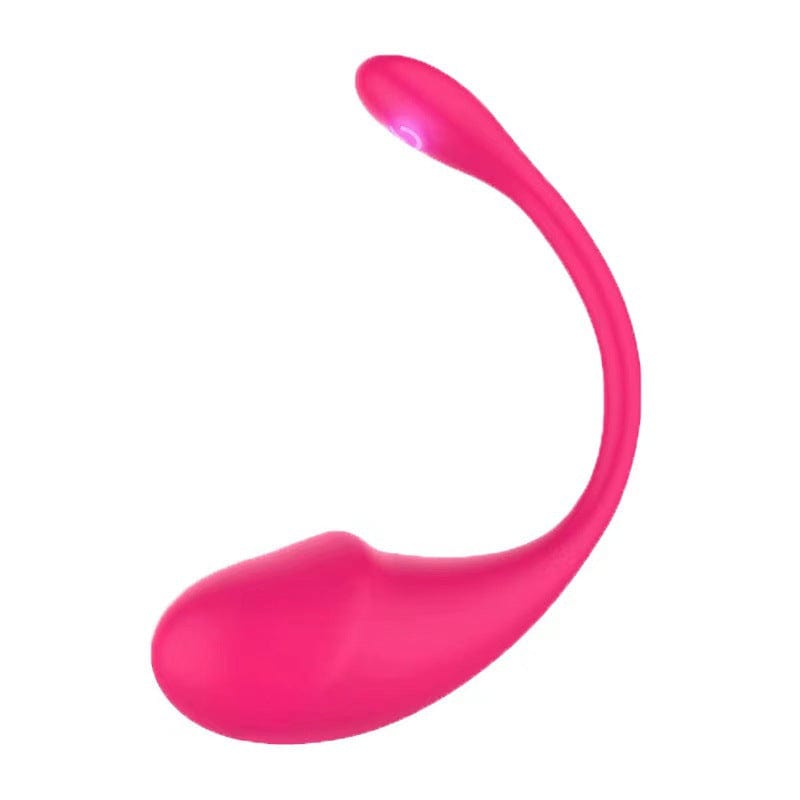 Wireless Bluetooth G Spot Wearable Vibrator Panty Sex toy APP Control - Lurevibe