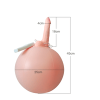 Bouncy Inflatable Sex Ball with Remote Control Vibrating Realistic Dildo - Lurevibe