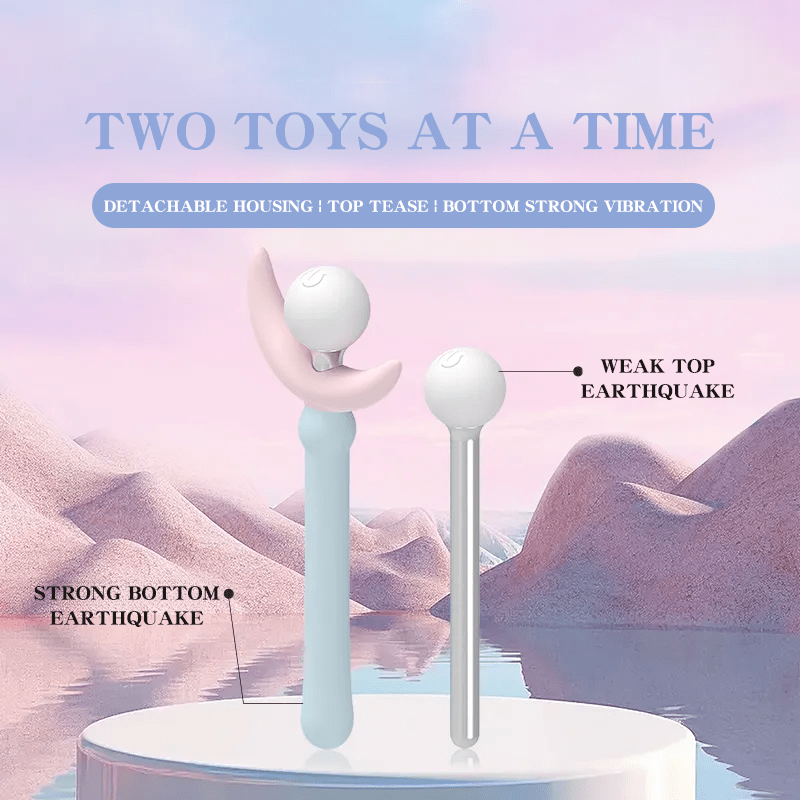 Princess and Rose Truncheon Vibrator Detachable Adult Toys - Lurevibe