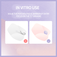 The Little Moon Compact Clitoral Suction & Vibrator