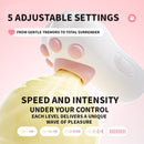 Kitty Box Vibrator Egg