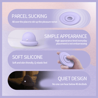 The Little Moon Compact Clitoral Suction & Vibrator